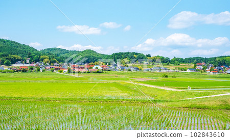 tranquil rural landscape 102843610