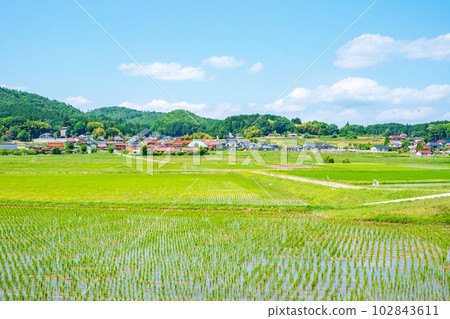 tranquil rural landscape 102843611