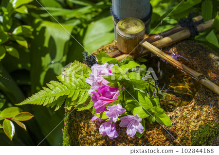 Tofuku-ji Temple Senda-in (Sesshu-ji Temple) Hand basin 102844168