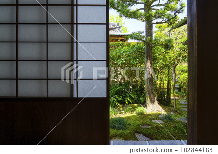 Garden seen from the tea room at Tofuku-ji Temple, Senda-in Temple (Sesshu-ji Temple) 102844183