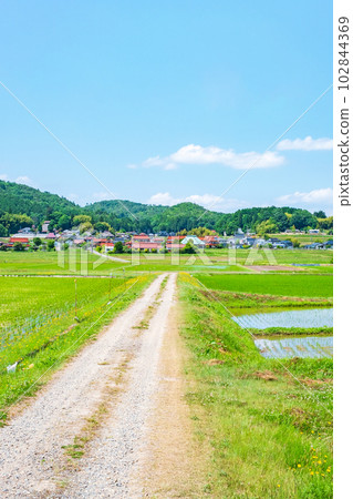 寧靜的鄉村景觀 102844369