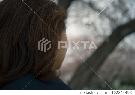 賞櫻 女生 女孩 102844498