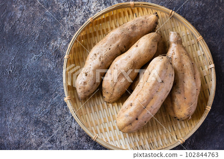 Marron gold sweet potato Marron gold sweet potato 102844763