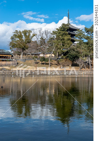 白天的「奈良縣」猿澤池俯瞰興福寺五層塔 白天的「奈良縣」猿澤池俯瞰興福寺五層塔 102844831