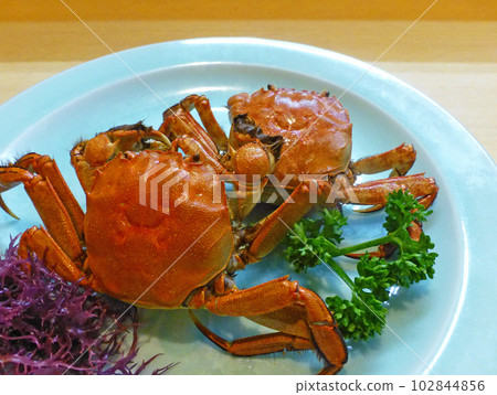 Fatty crabs are the most delicious, picture of mitten crab boiled in salt Fatty crabs are the most delicious, picture of mitten crab boiled in salt 102844856