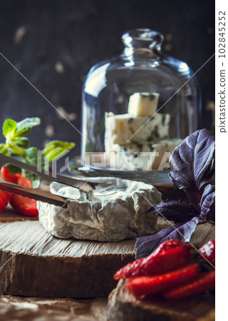 gourmet goat cheese with mold and soft liquid core gourmet goat cheese with mold and soft liquid core 102845252