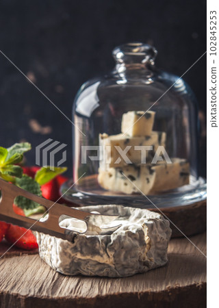 gourmet goat cheese with mold and soft liquid core gourmet goat cheese with mold and soft liquid core 102845253