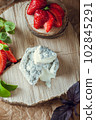 gourmet goat cheese with mold and soft liquid core  102845291