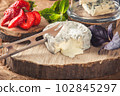 gourmet goat cheese with mold and soft liquid core  102845297