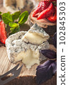 gourmet goat cheese with mold and soft liquid core  102845303