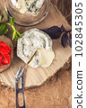 gourmet goat cheese with mold and soft liquid core  102845305