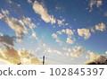 Fantastic twilight sky 102845397