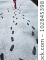 Snow road with children's footprints 102845398