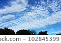 Blue sky and scaly cloud 102845399