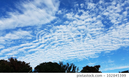 藍天和鱗片雲 102845399