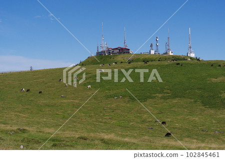 Utsukushigahara Highland Ougatou and Utsukushigahara Ranch 102845461