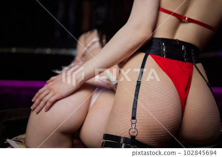 ass women. Beautiful woman wearing fishnet... - Stock Photo [102845694] -  PIXTA