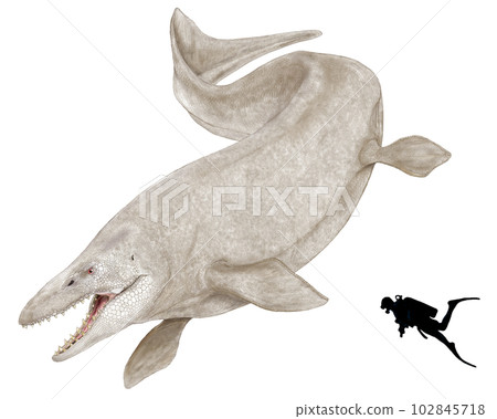 Thalassotitan Mosamosasaurus preying on Mosasaurus Thalassotitan Mosamosasaurus preying on Mosasaurus 102845718