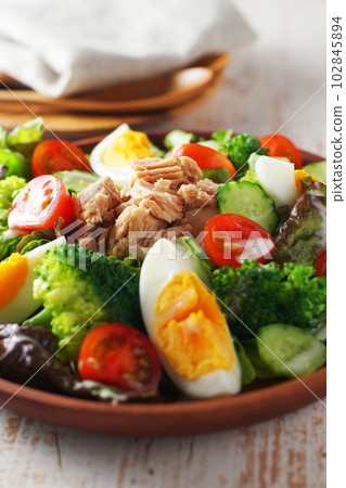 Tuna salad with plenty of vegetables 102845894