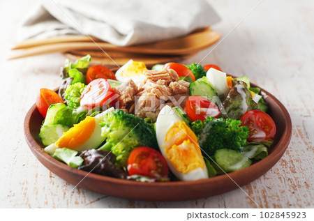 Tuna salad with plenty of vegetables 102845923