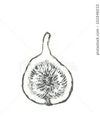 圖：無花果 102846010