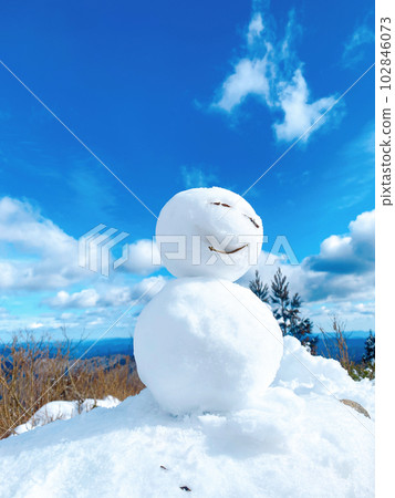 snowman in the remaining snow snowman in the remaining snow 102846073