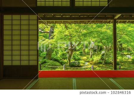 圓光寺 從書院眺望重御庭園 新綠的季節 102846316