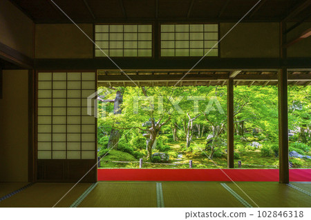 Enkoji Temple Viewing Jugyu Garden from the Shoin The season of fresh greenery 102846318
