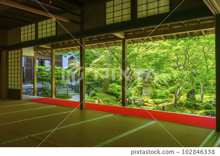 圓光寺 從書院眺望重御庭園 新綠的季節 102846338