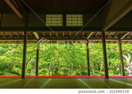 Enkoji Temple Viewing Jugyu Garden from the Shoin The season of fresh greenery 102846339