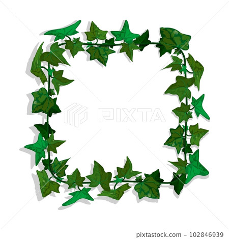 Ivy liana grass with green leaves. Cartoon square border for greeting card decorating, invitation cards. Colored vector isolated on white background Ivy liana grass with green leaves. Cartoon square border for greeting card decorating, invitation cards. Colored vector isolated on white background 102846939