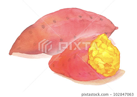 Watercolor illustration of golden stone baked sweet potato Watercolor illustration of golden stone baked sweet potato 102847063