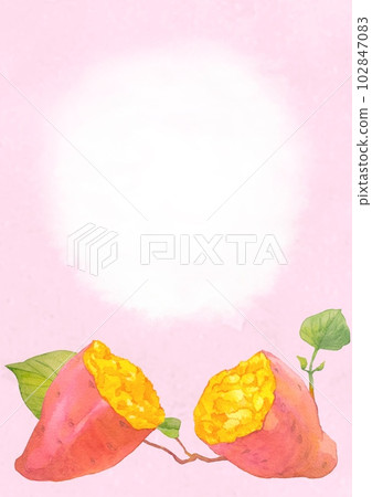 金紅薯水彩背景圖 金紅薯水彩背景圖 102847083