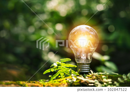 ightbulb with young plant on soil and sunshine. concept saving energy in nature 102847522