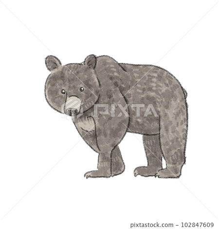 Illustration of an adult bear with a watercolor touch 102847609