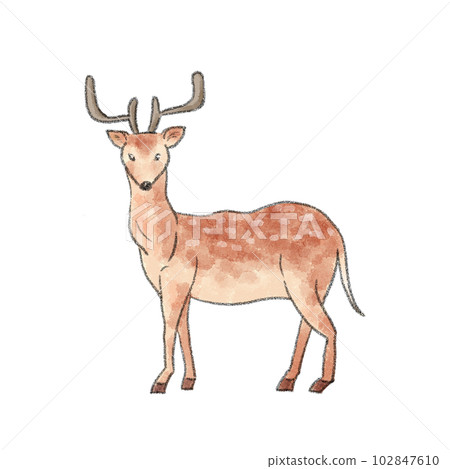 Illustration of an adult deer with a watercolor touch 102847610