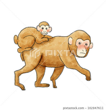 Illustration of a monkey parent and child walking with a watercolor touch 102847611