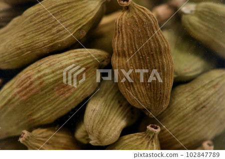 香料荳蔻種子 香料荳蔻種子 102847789