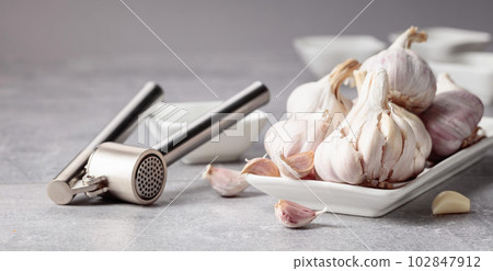 Garlic and garlic press on a grey table. 102847912