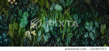 green leaf texture, leaf foliage nature dark green background 102847913
