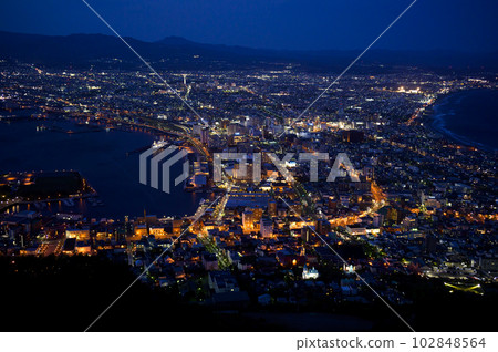 從Mt.函館看的夜視圖 102848564