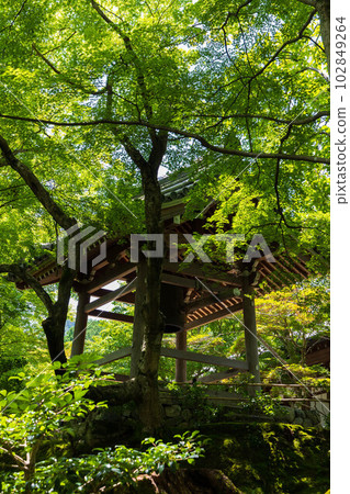 Summer in Saga-Arashiyama, Kyoto Jojakko-ji Temple Bell Tower 102849264