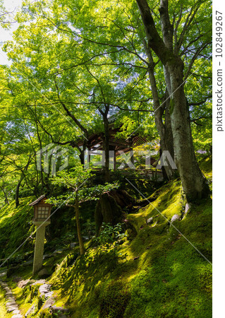 京都嵯峨嵐山之夏 常寂光寺鐘樓 102849267
