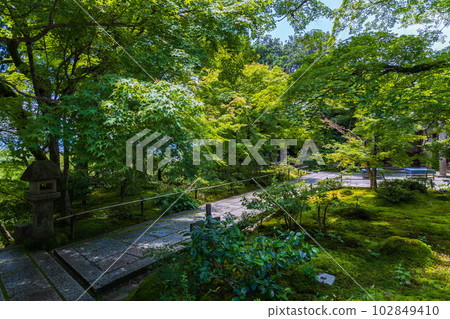 京都嵯峨嵐山的夏日綠意盎然的常寂光寺 京都嵯峨嵐山的夏日綠意盎然的常寂光寺 102849410