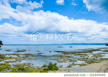 Okinawa Sea 102849499