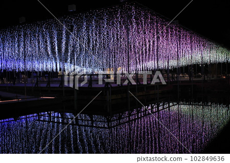 Ashikaga Flower Park Illuminations reflected on the water surface Ashikaga Flower Park Illuminations reflected on the water surface 102849636