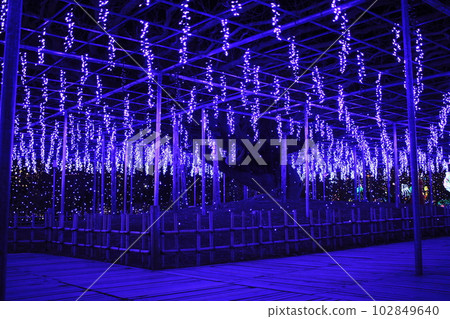 Ashikaga Flower Park's greatest pleasure: illumination Ashikaga Flower Park's greatest pleasure: illumination 102849640