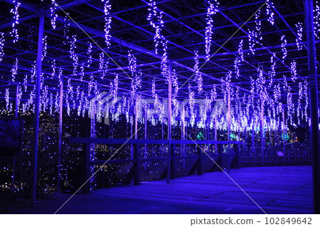 Ashikaga Flower Park Kanto Popular Illumination Ashikaga Flower Park Kanto Popular Illumination 102849642