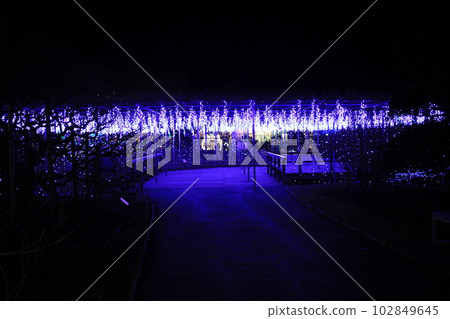 Fantastic illumination Ashikaga Flower Park Fantastic illumination Ashikaga Flower Park 102849645