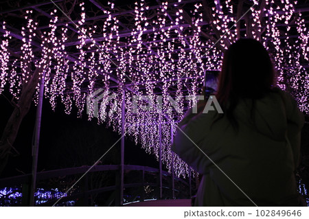 Take a photo of the illumination at Ashikaga Flower Park Take a photo of the illumination at Ashikaga Flower Park 102849646